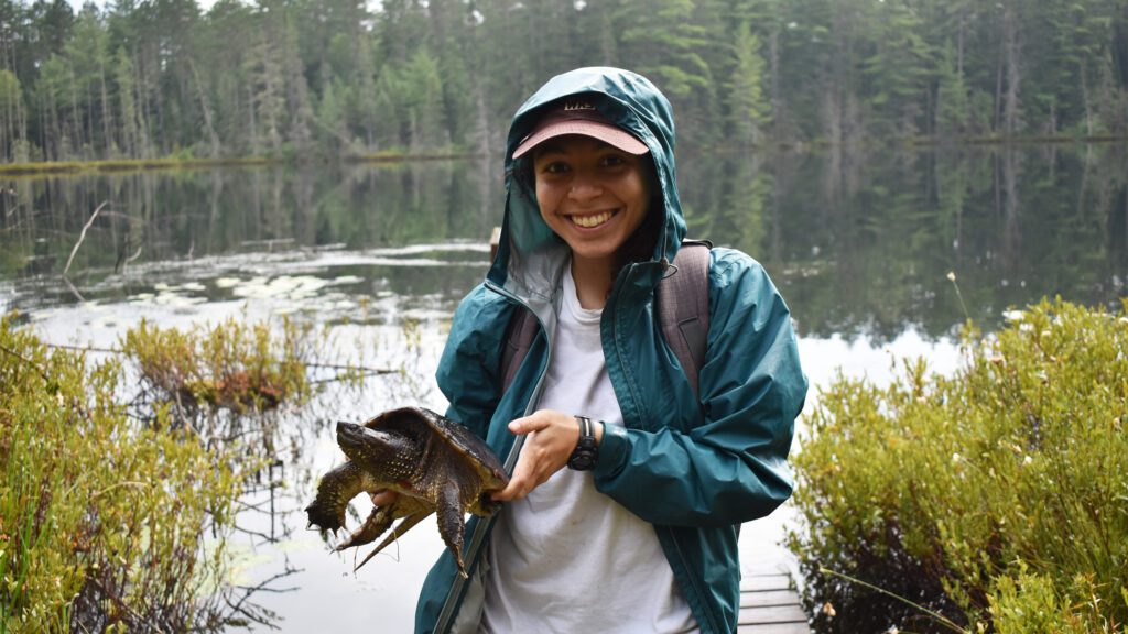 mariel holds a turtle in algonquin park