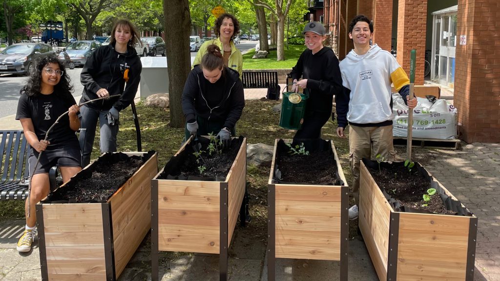 a small group of students and professors stand behind wooden vegetable planters at innis college