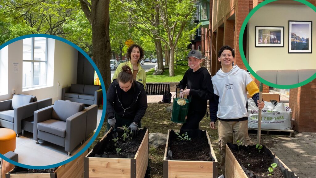 collage of photos around innis college including lounge furniture, garden and artwork