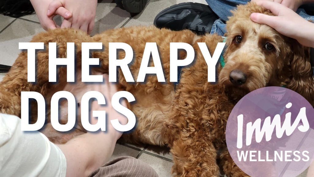 photo of dog being pet with the words "THERAPY DOGS" overlaid