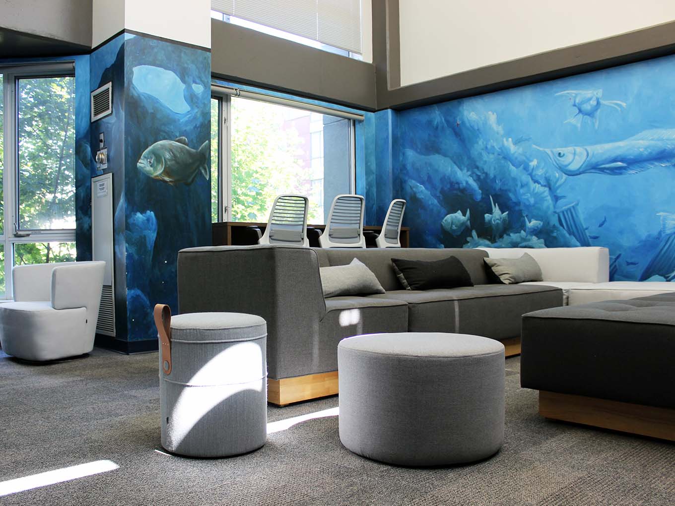 Suites and Amenities - Fish bowl