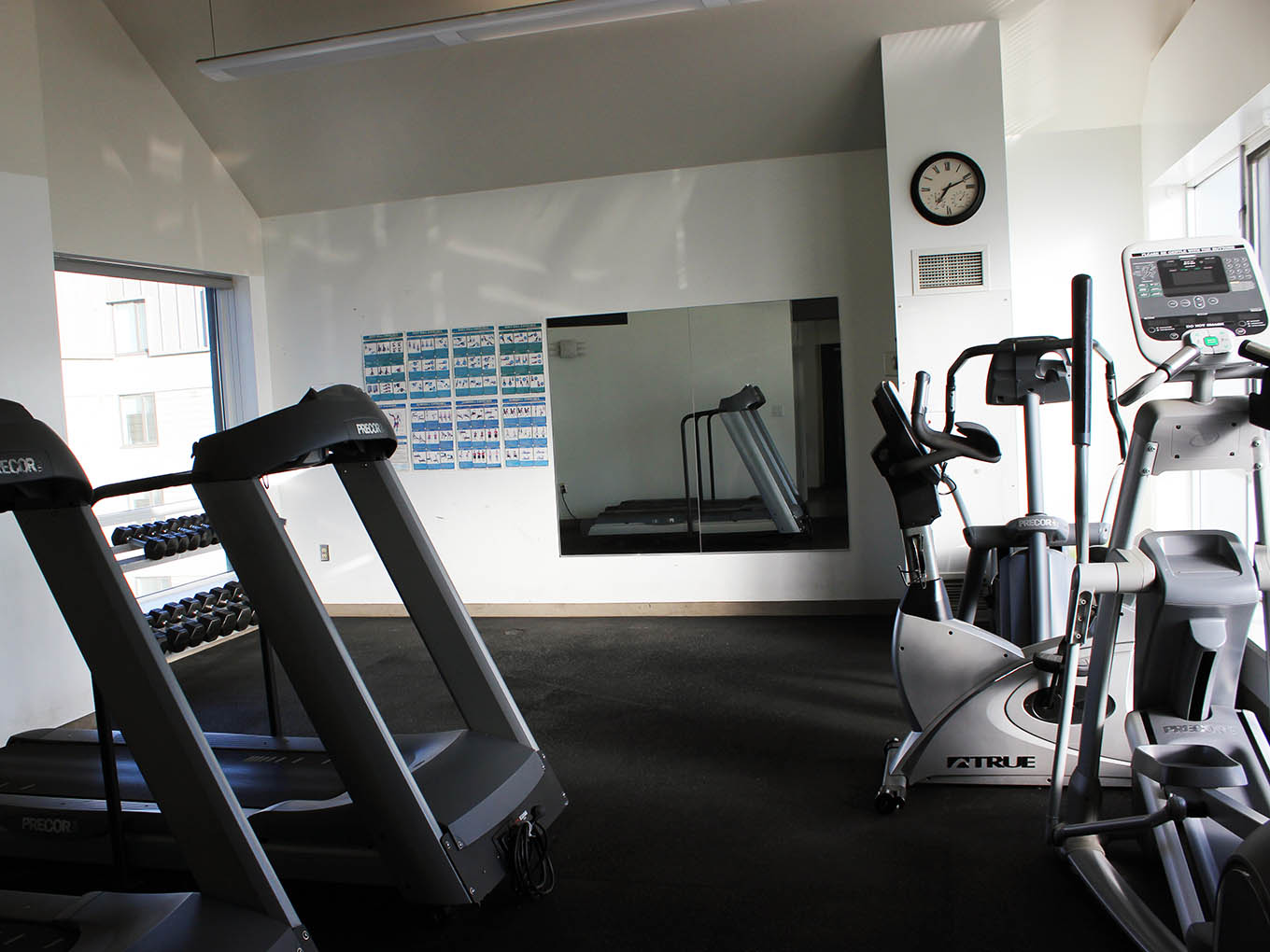 Suites and Amenities - Gym