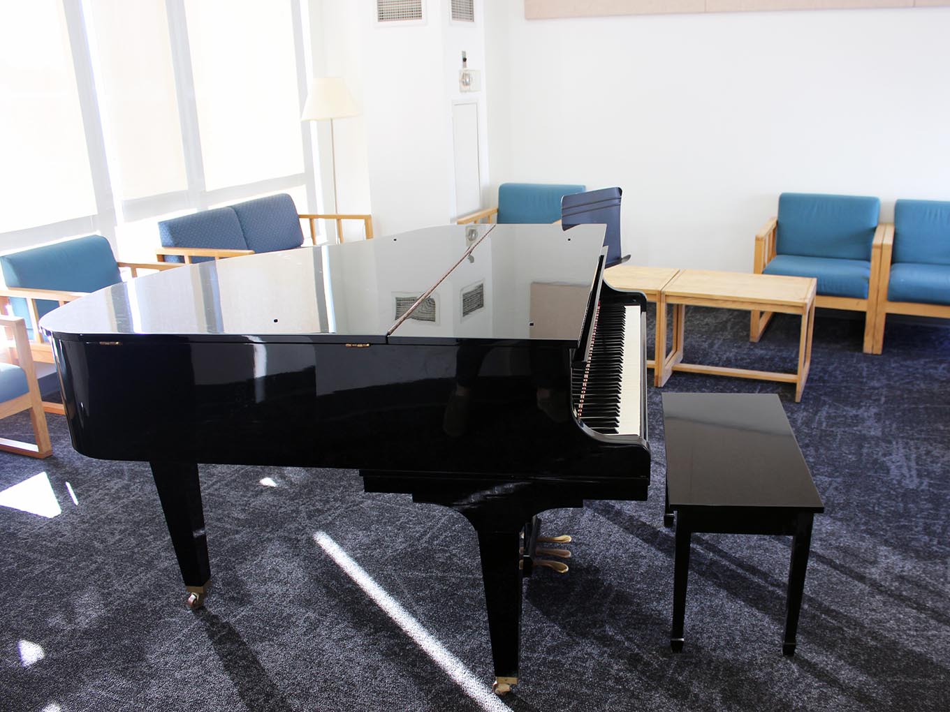 Suites and Amenities - Music room